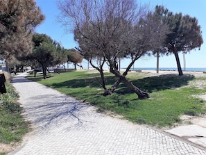 A paved pathway with trees and grass, leading towards a beach.