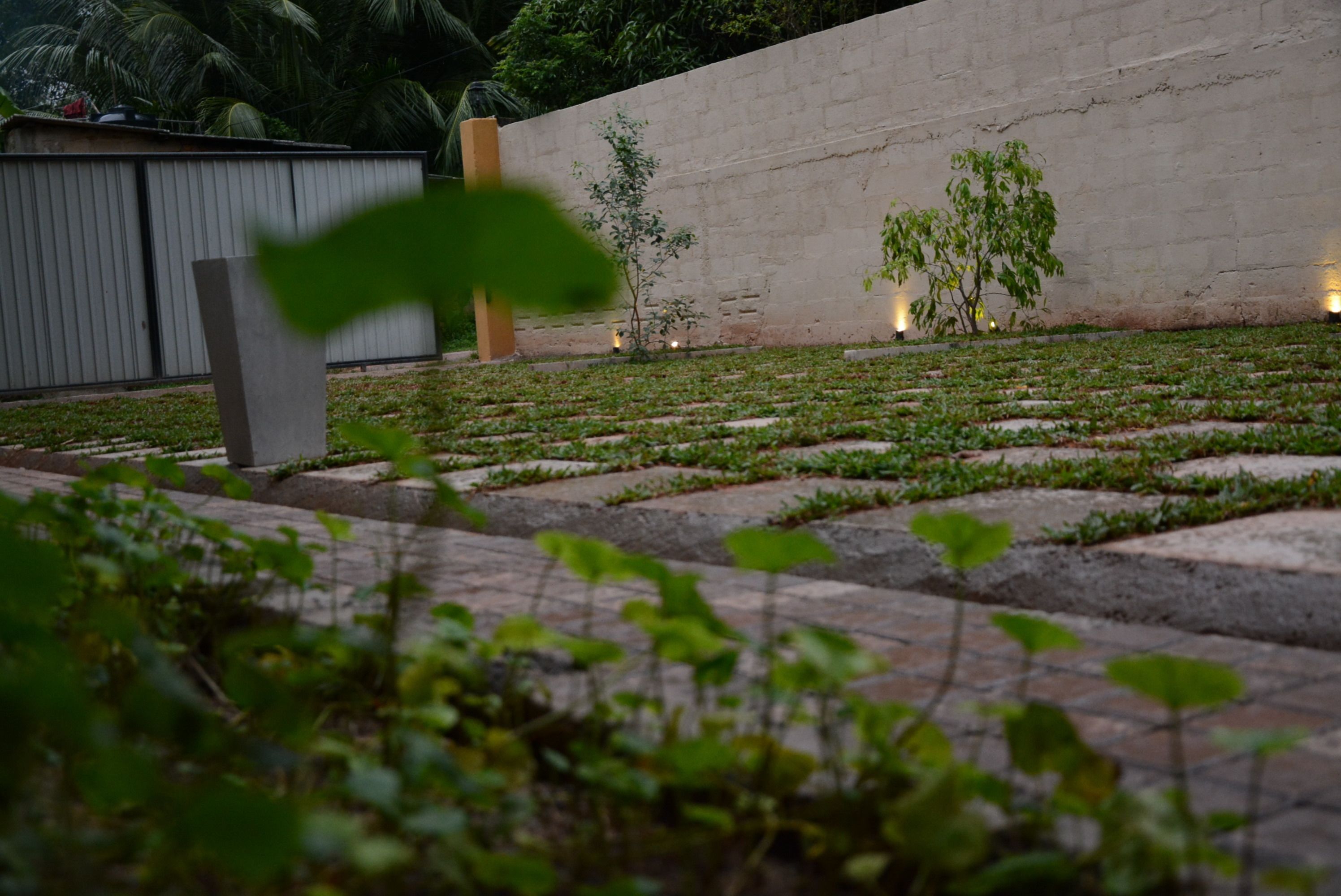 Een tuin met een betonnen muur, kleine bomen en een metalen hek.