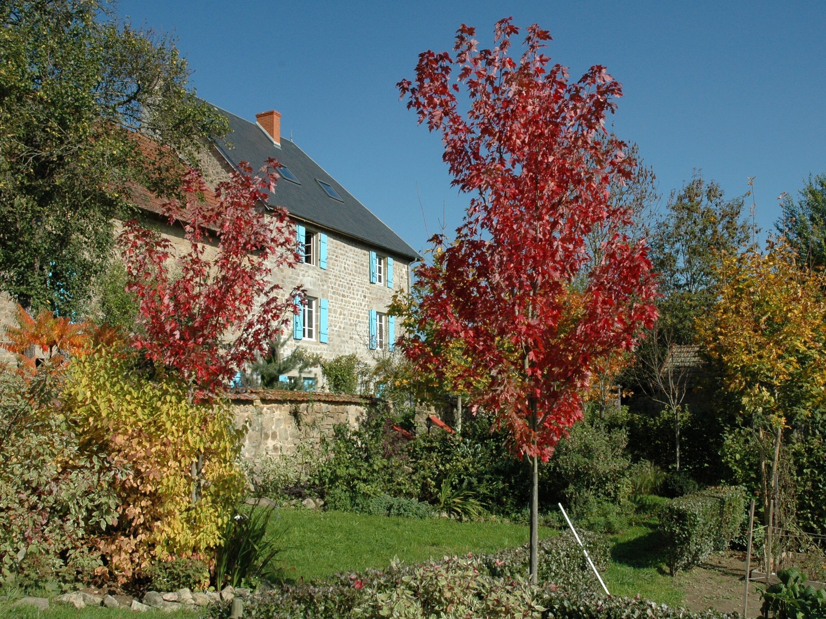 Foto - Le Cuisinier en Combraille