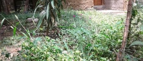 Pemandangan dari properti