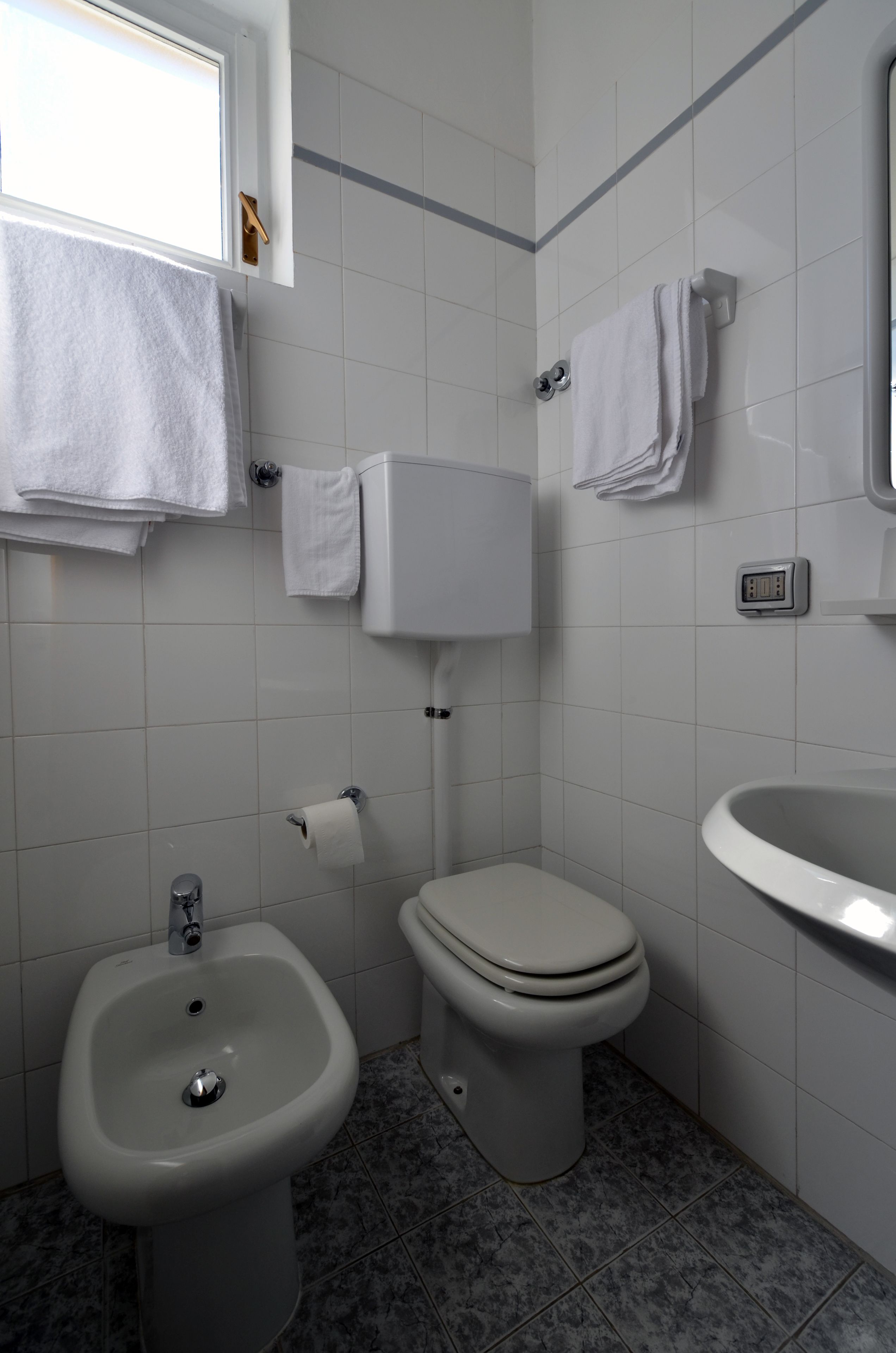 A bathroom with a toilet, bidet, sink, and towels on the wall.