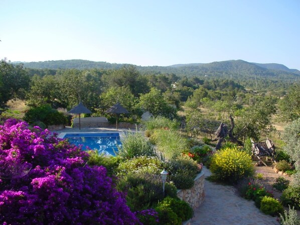 A garden with a pool, surrounded by lush greenery and hills in the background.