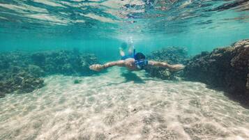 An underwater scene with a person swimming near coral formations.