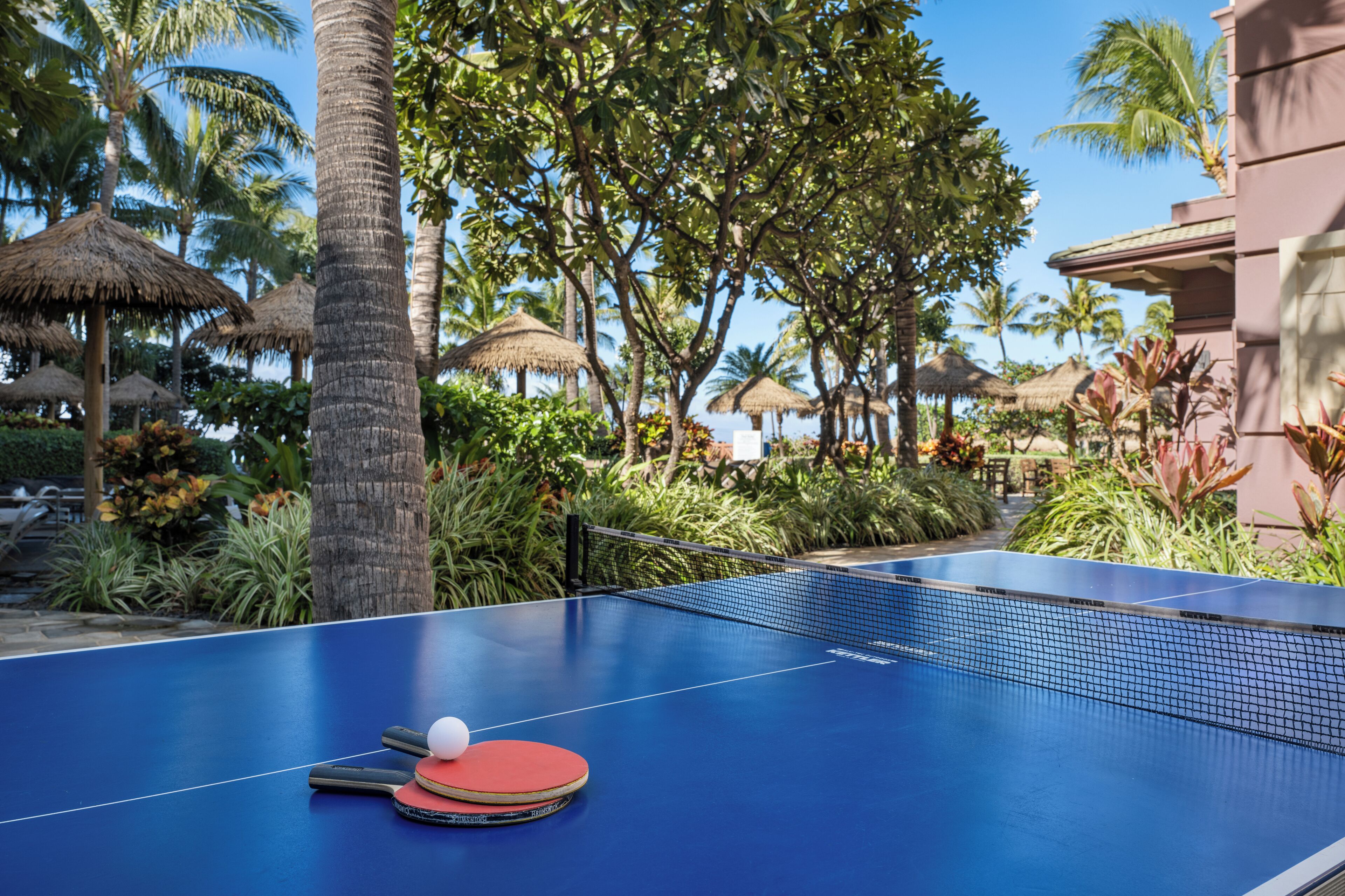 children’s activities