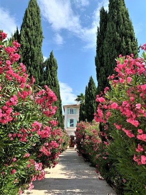 Exterior - Domaine de l'Aufrene (Hyères)