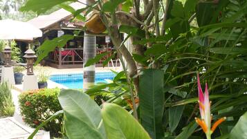 Terrein van de accommodatie