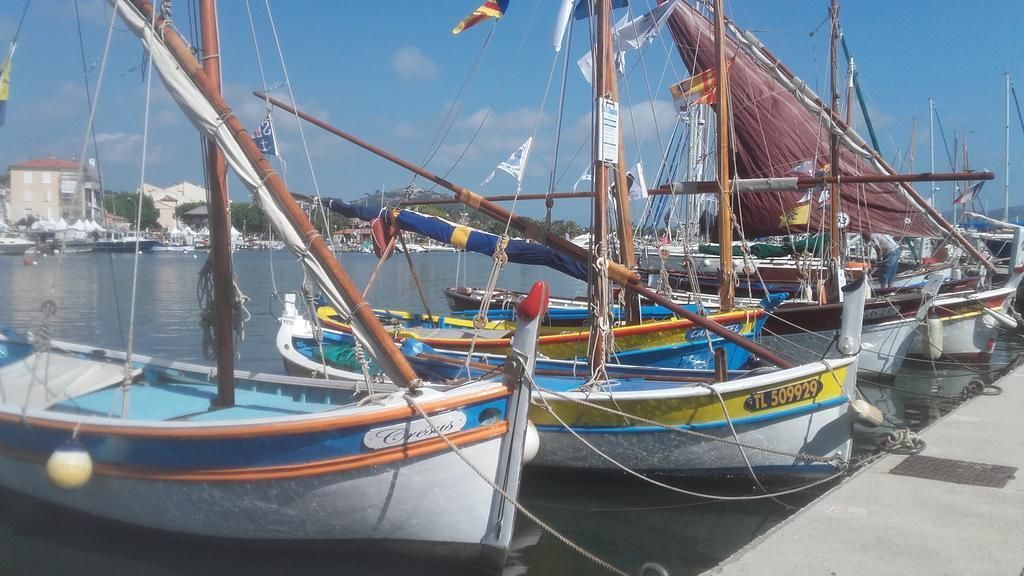 Uma marina com vários barcos pequenos atracados.