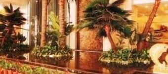 Lou lan Hotel