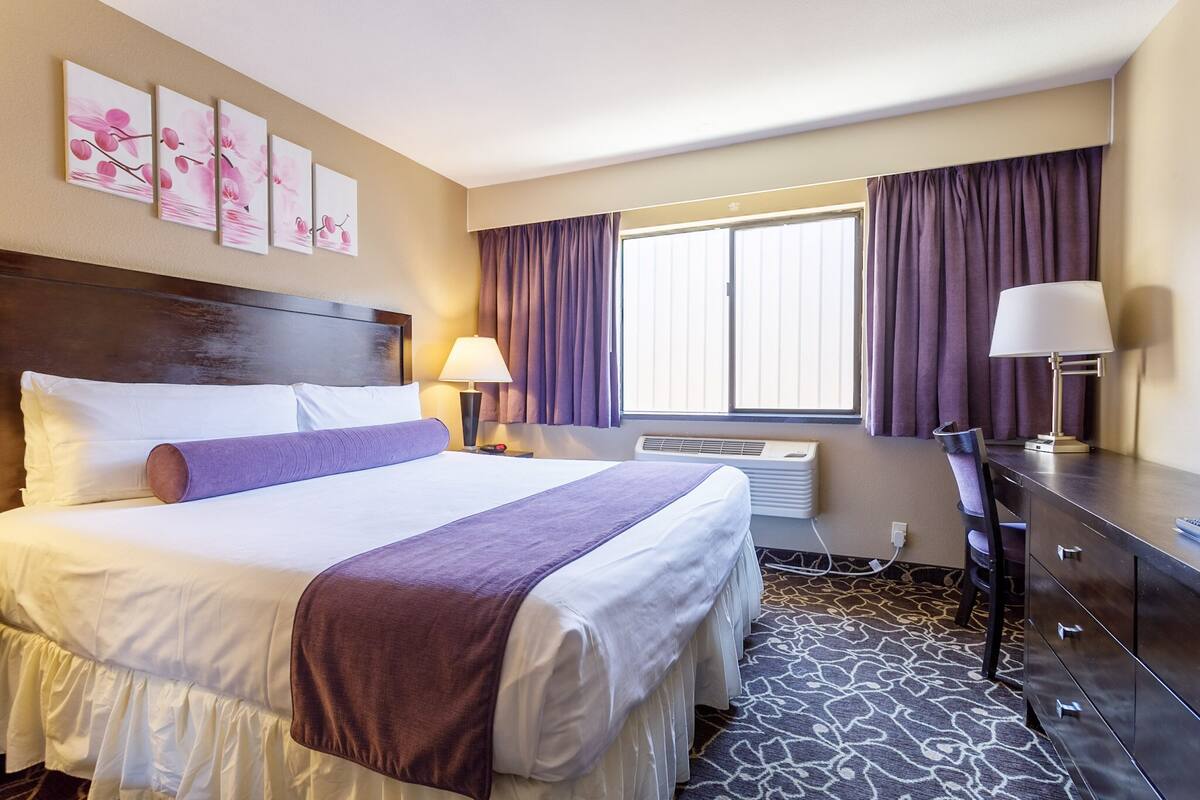 Habitación de hotel con una cama grande, un escritorio, una silla, una lámpara y una ventana con cortinas.