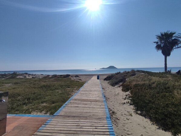 A wooden boardwalk leading to a beach with a palm tree and a distant island.