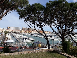 Marina