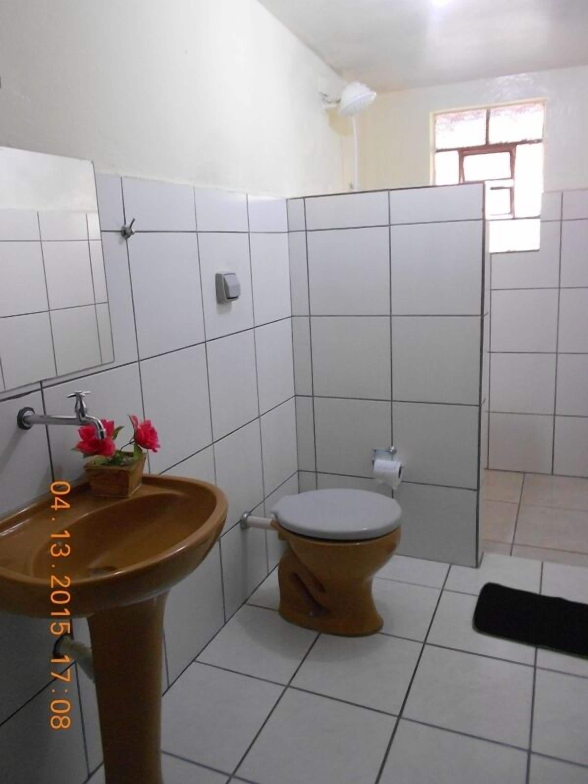 basic apartment | bathroom | shower, towels, soap, toilet paper