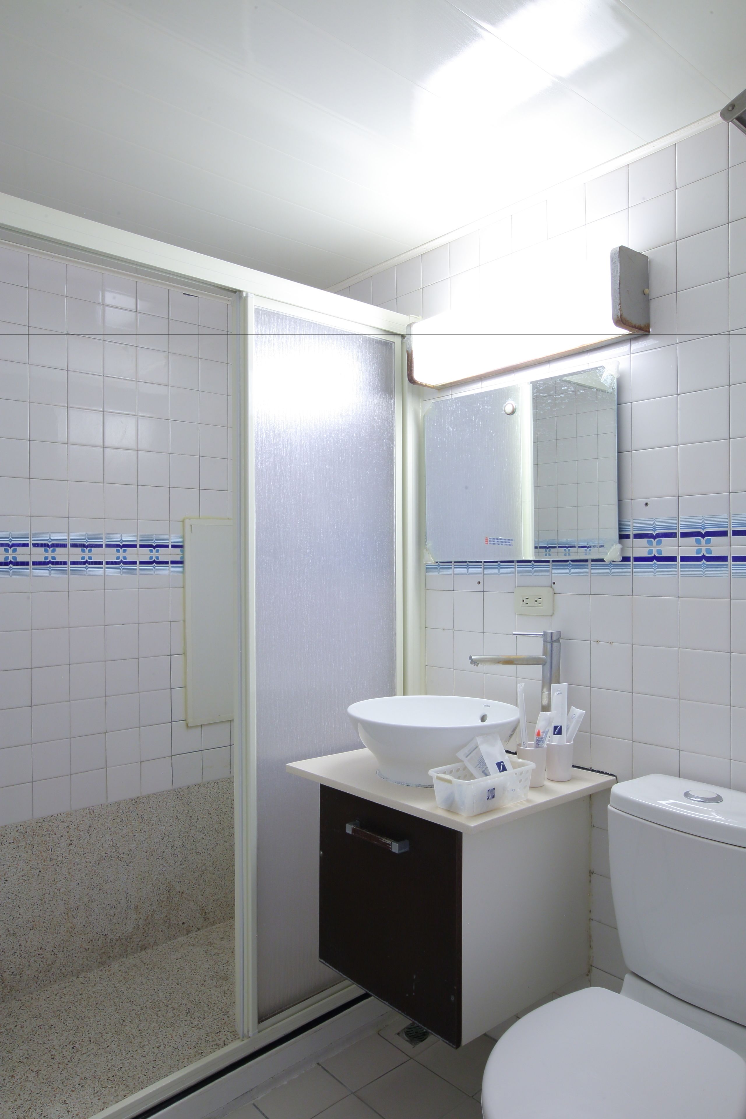 A bathroom with a white sink, a toilet, a shower enclosure, and a mirror above the sink.
