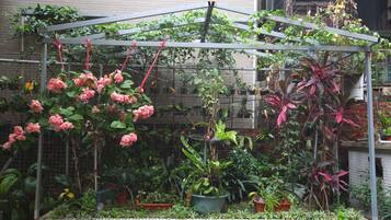 A garden with a variety of potted plants and flowers, including pink roses, under a metal trellis structure.