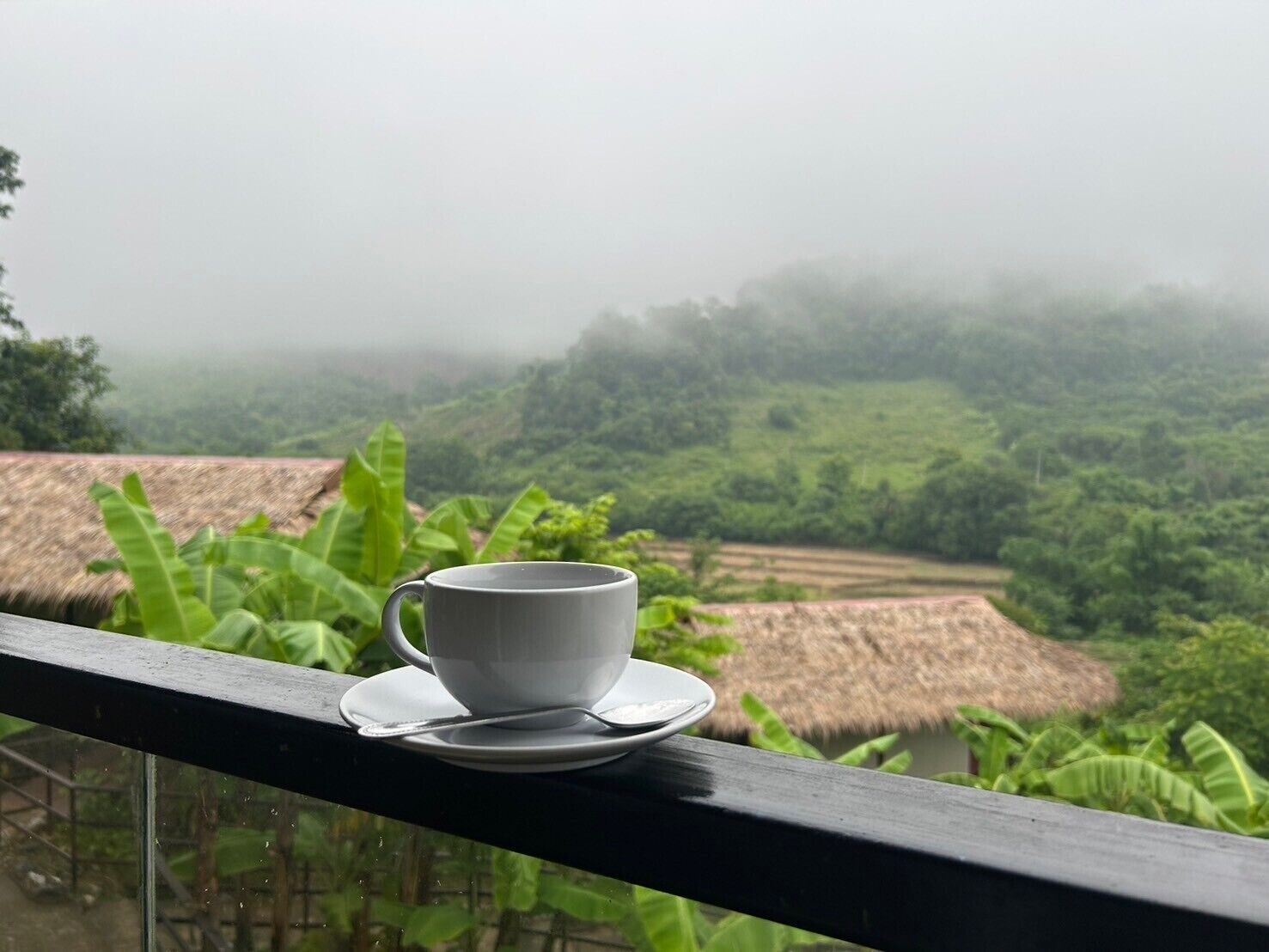 A white cup on a saucer on a balcony railing with a view of a misty landscape and banana plants.