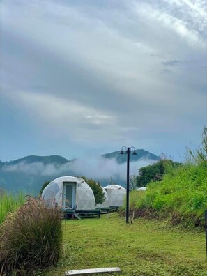 Land view from property