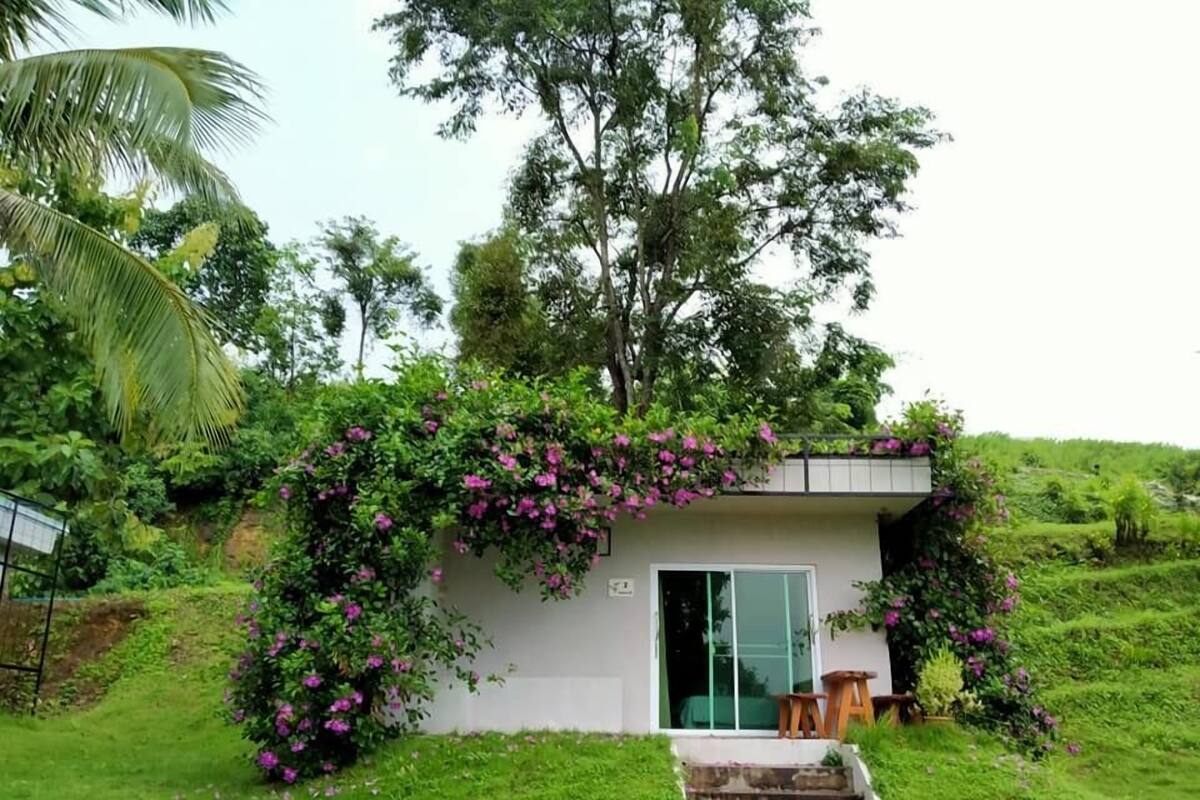 A small, single-story building with a white exterior, surrounded by lush greenery and flowering plants.