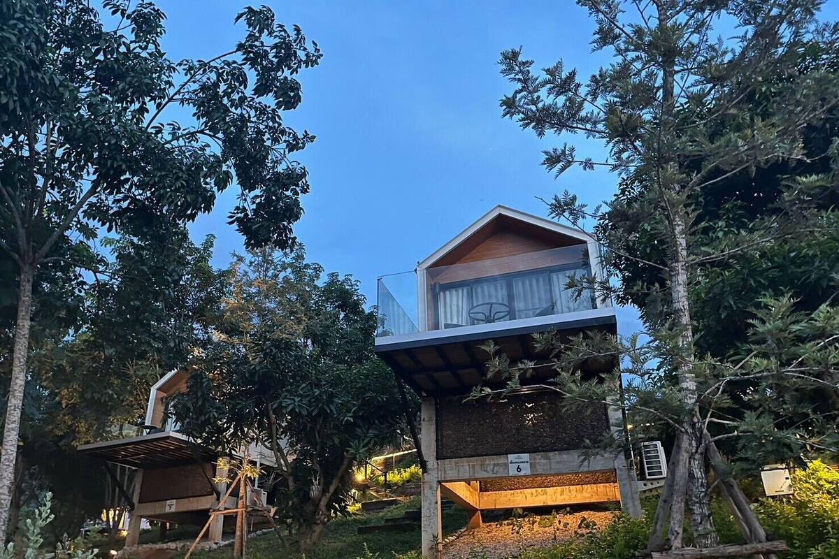 A modern treehouse-style building with a glass balcony, surrounded by dense foliage.