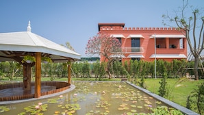 A pond with lily pads and a gazebo.