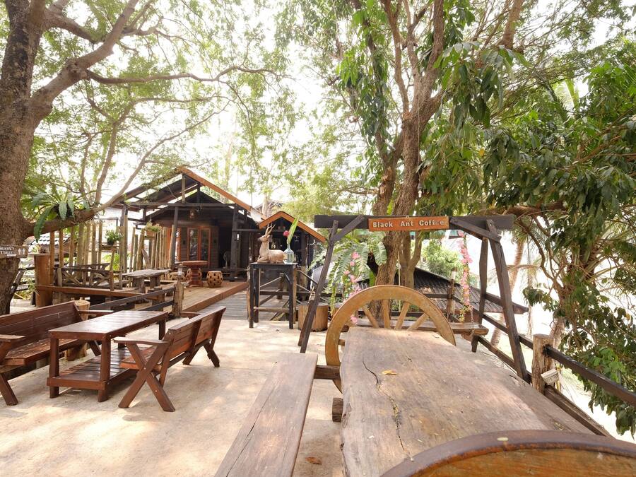An outdoor wooden deck with rustic benches and tables, surrounded by trees and a wooden structure labeled "Black Ant Coffee."