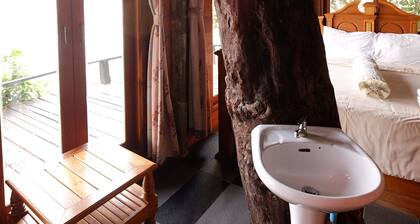 P&P Coffee & Resort Mae Sariang