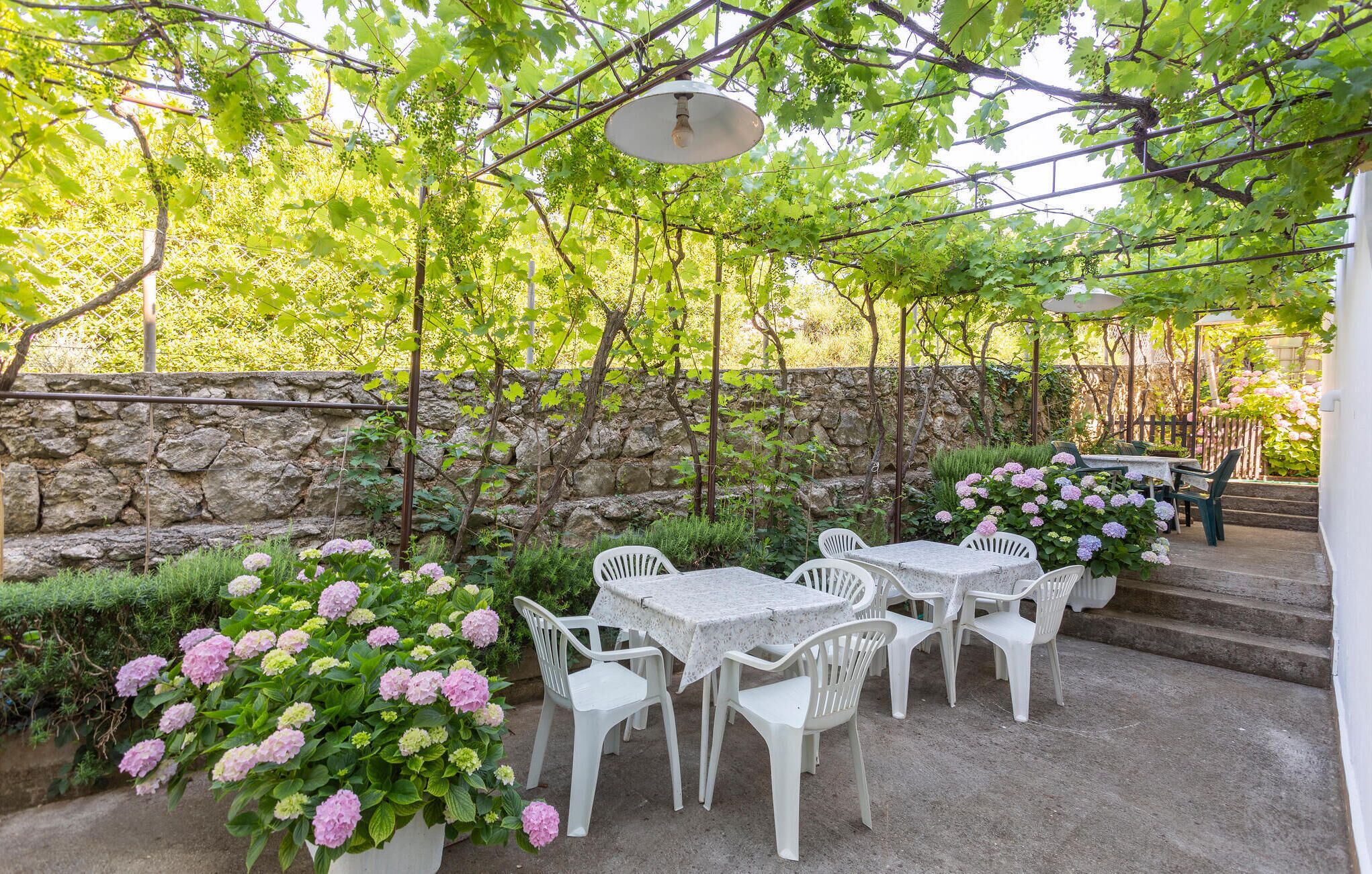 An outdoor patio with white tables and chairs, surrounded by lush greenery and flowering plants.