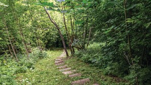 Un escalier en pierre qui serpente à travers une forêt dense.