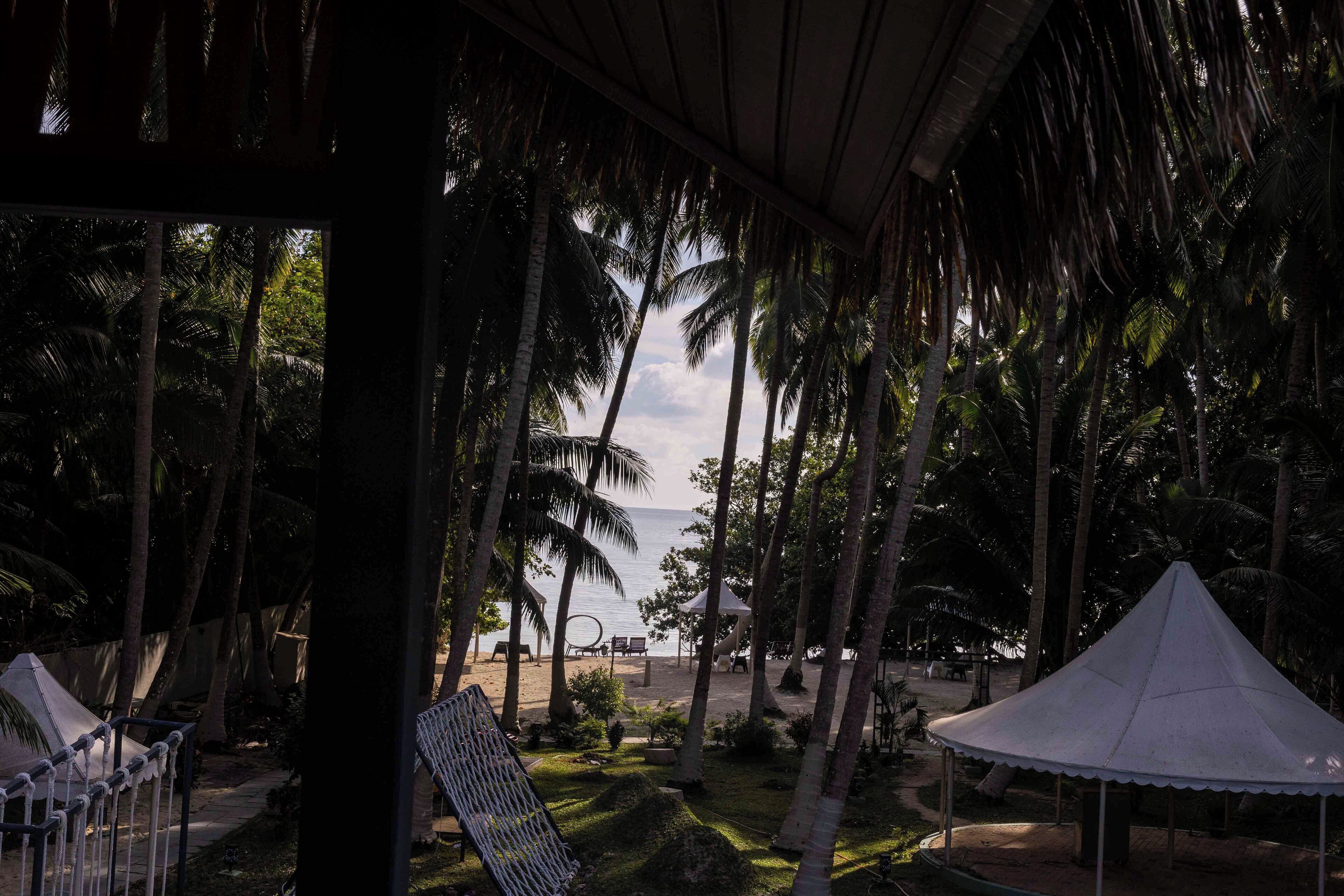 Vista de playa con palmeras, una sombrilla y una hamaca.