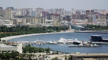 Vista desde la propiedad