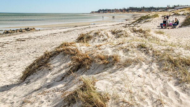 En sandstrand med klitter, en klar himmel og en fjerntliggende kystlinje med bygninger.