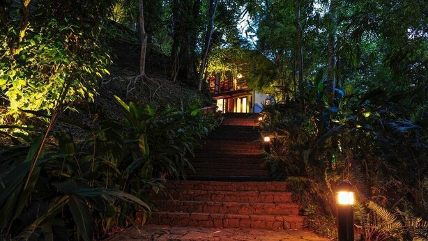 Una escalera que lleva a un edificio rodeado de vegetación densa.