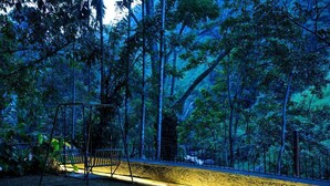 Vista nocturna de un área boscosa con una valla metálica y un columpio.