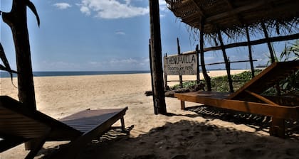 grand appartement avec balcon Ă 100 m de la plage Ă Hikkaduwa - Sri Lank