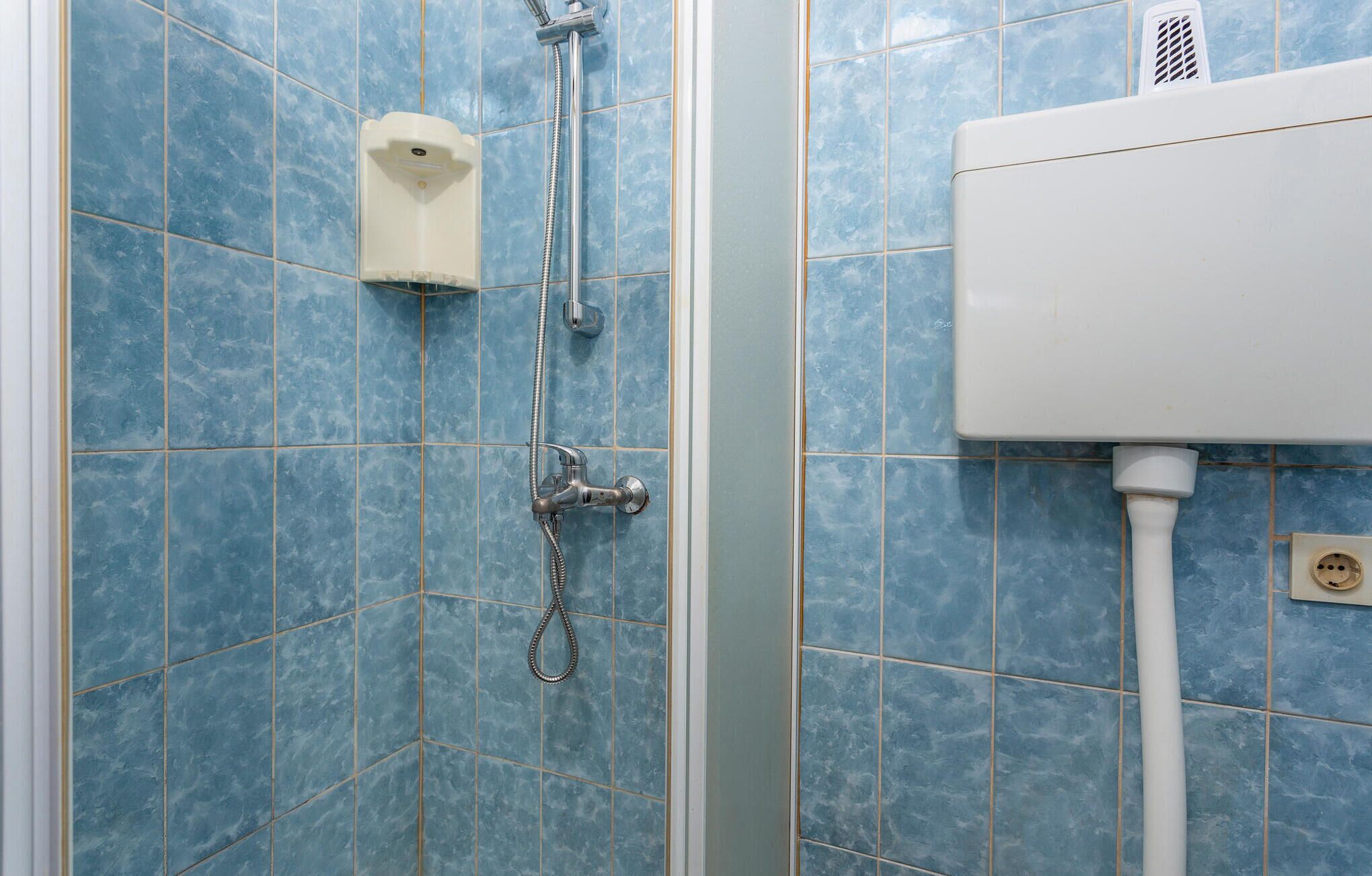 Een badkamer met blauwe tegels, een wit toilet en een douche met een handdouche en slang.