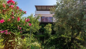 A modern house with a balcony, surrounded by lush greenery and pink flowers.