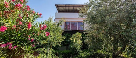 A modern house with a balcony, surrounded by lush greenery and pink flowers.