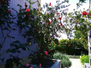 A garden with a tree bearing pink flowers, a tiled wall, and a stone structure. - ApartHotel Viola (Medulin)