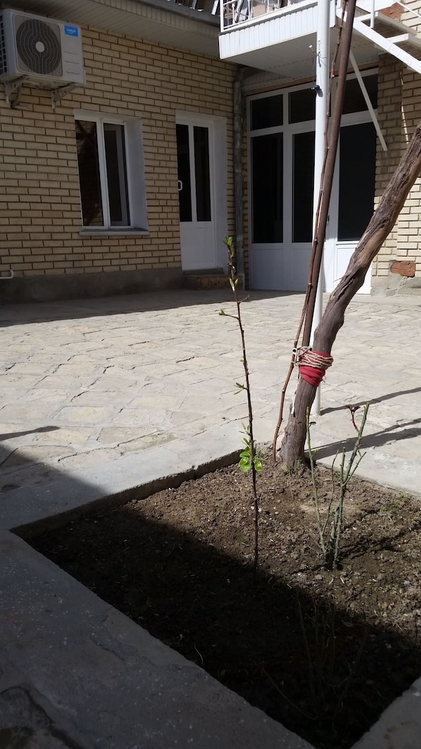 A courtyard with a small tree, a brick building with a white door, and an air conditioning unit.