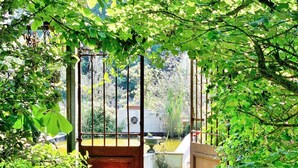 Une porte en bois rustique qui donne accès à un jardin avec un chemin de gravier et une végétation luxuriante.