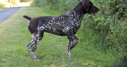 Relais de chasse la Chaignaie