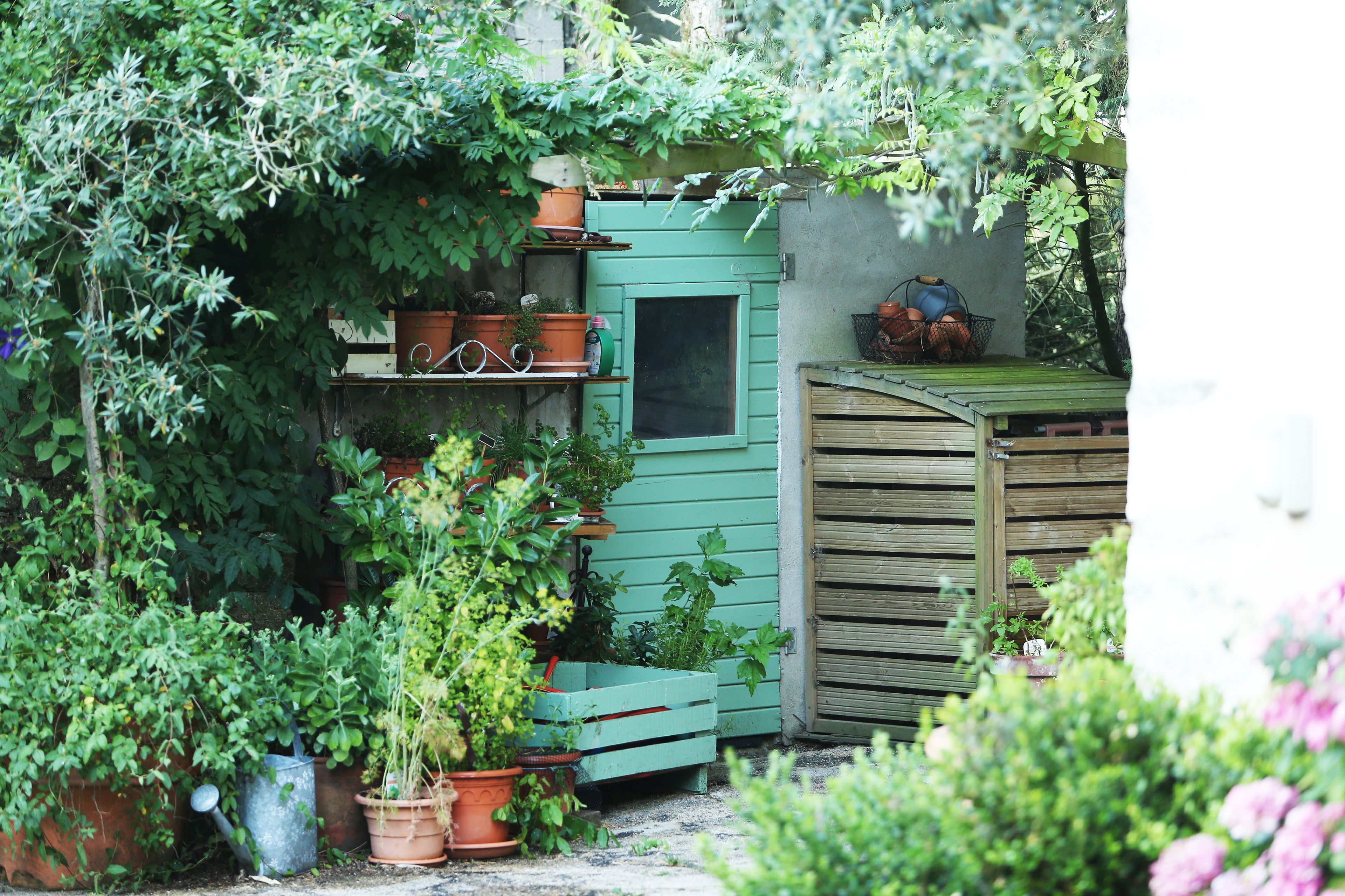 Een tuin met verschillende plantenpotten en een houten tuinhuis.