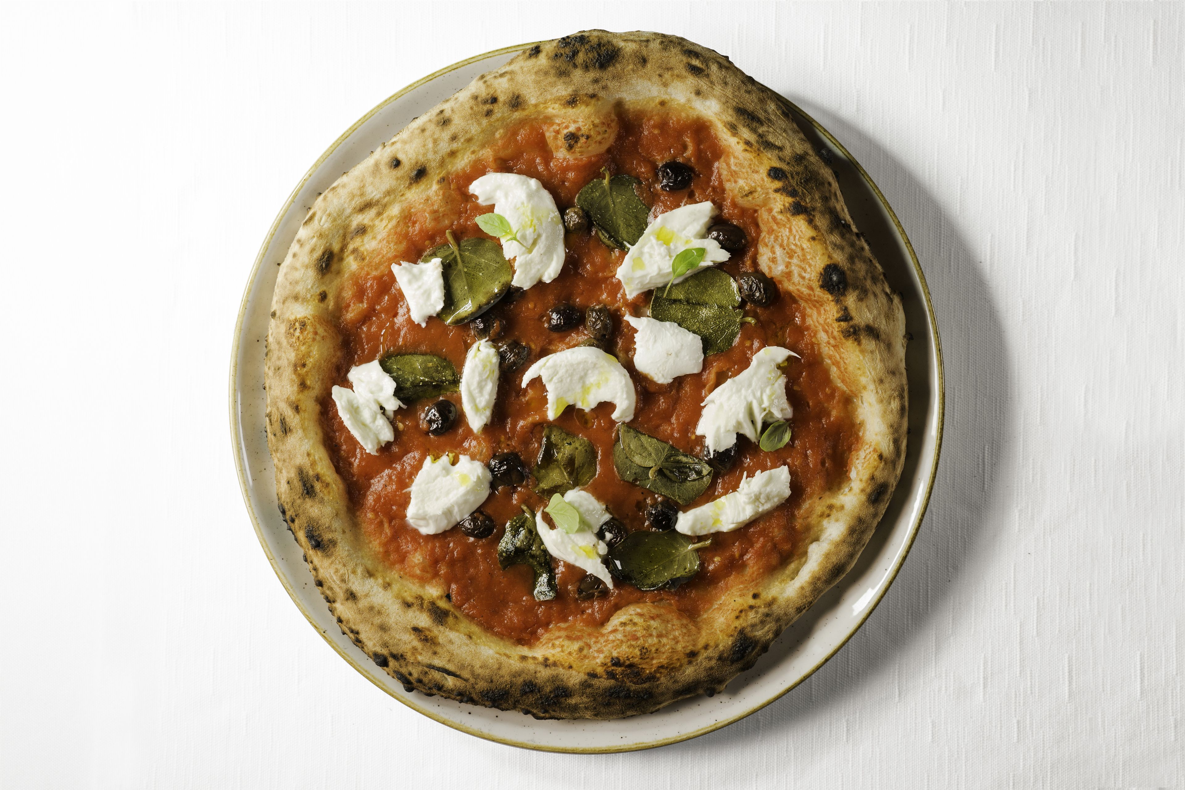 A pizza with tomato sauce, mozzarella cheese, and basil leaves on a white plate.