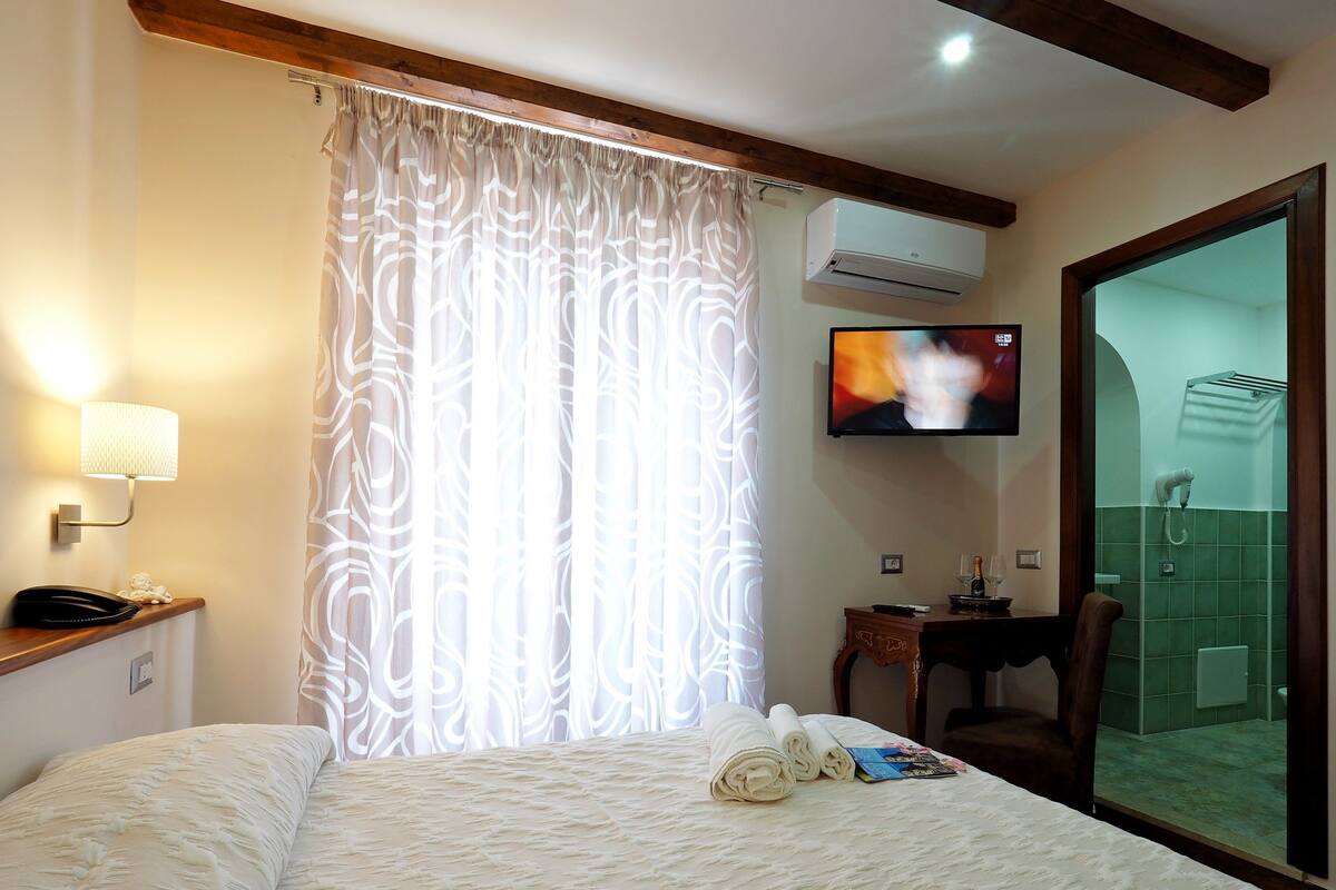 Habitación de hotel con cama, escritorio, televisor y zona de ducha.