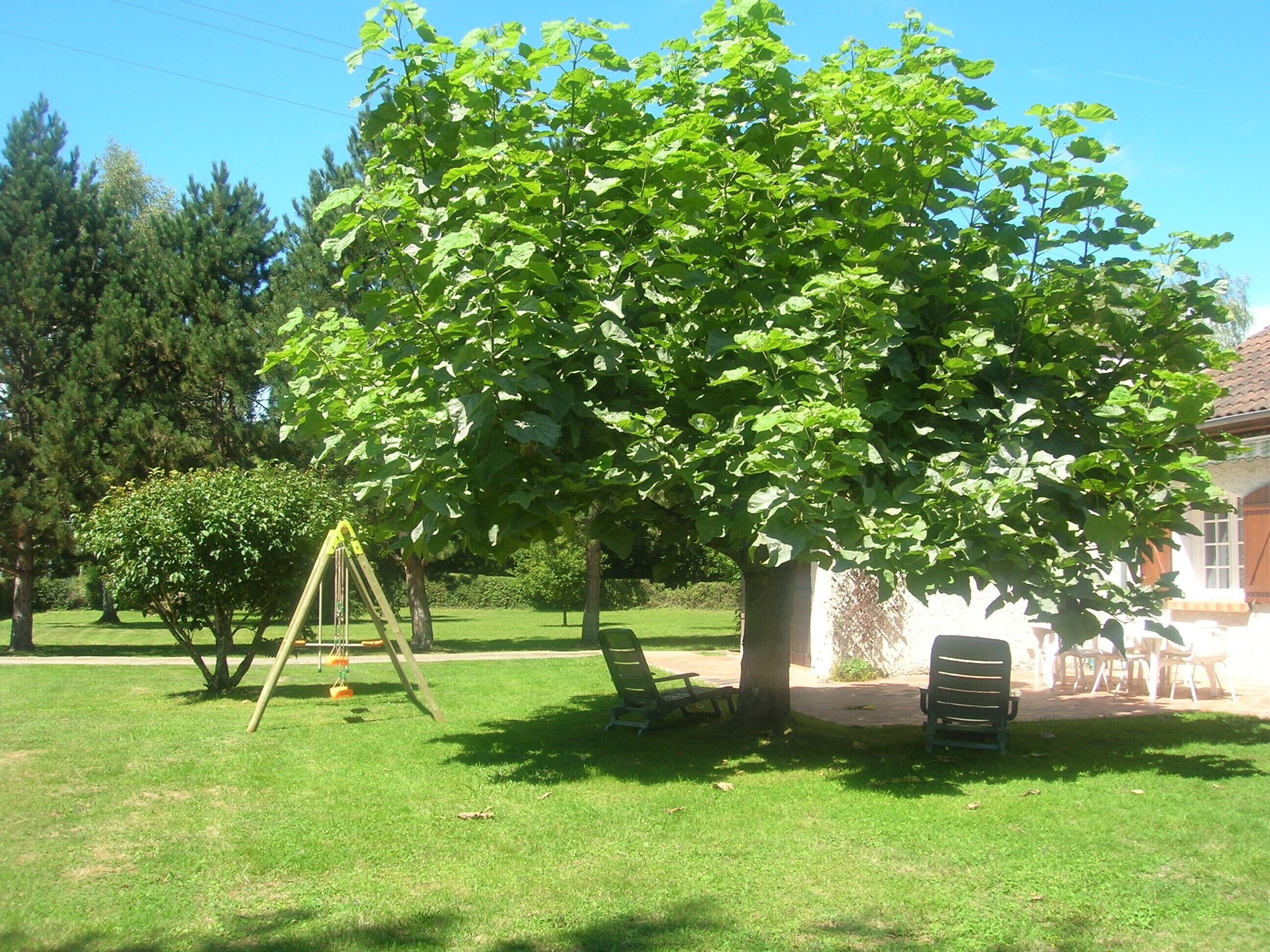 Área da propriedade