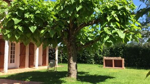 A tree in a grassy area with a building in the background. - GÎTE LE CATALPA REGION OF THE HIGH LIMOUSIN (Saint-Georges-Les-Landes)