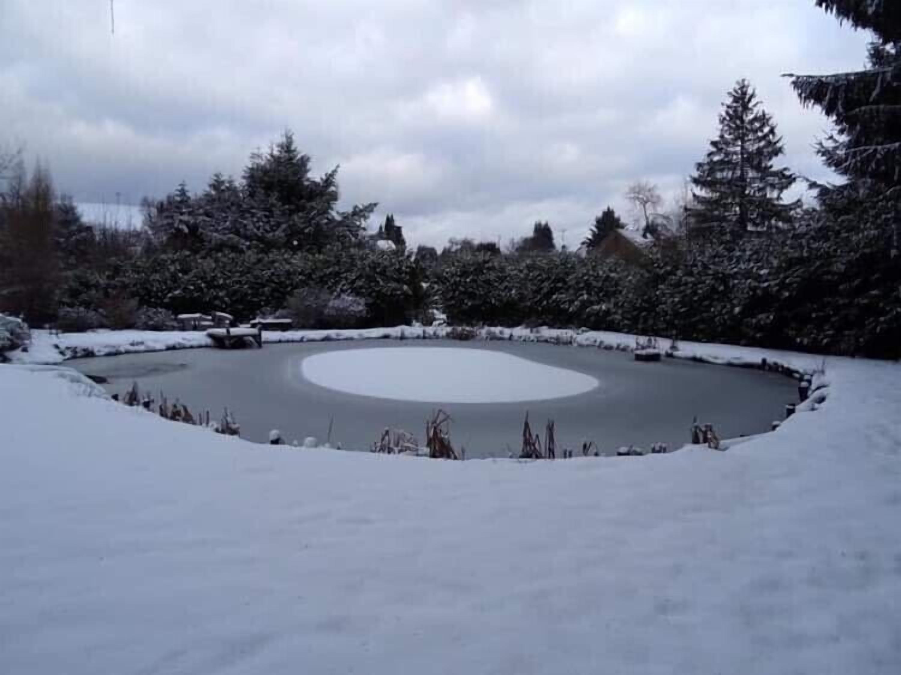 Eine verschneite Landschaft mit einem kreisförmigen Teich, umgeben von Bäumen und schneebedecktem Boden.