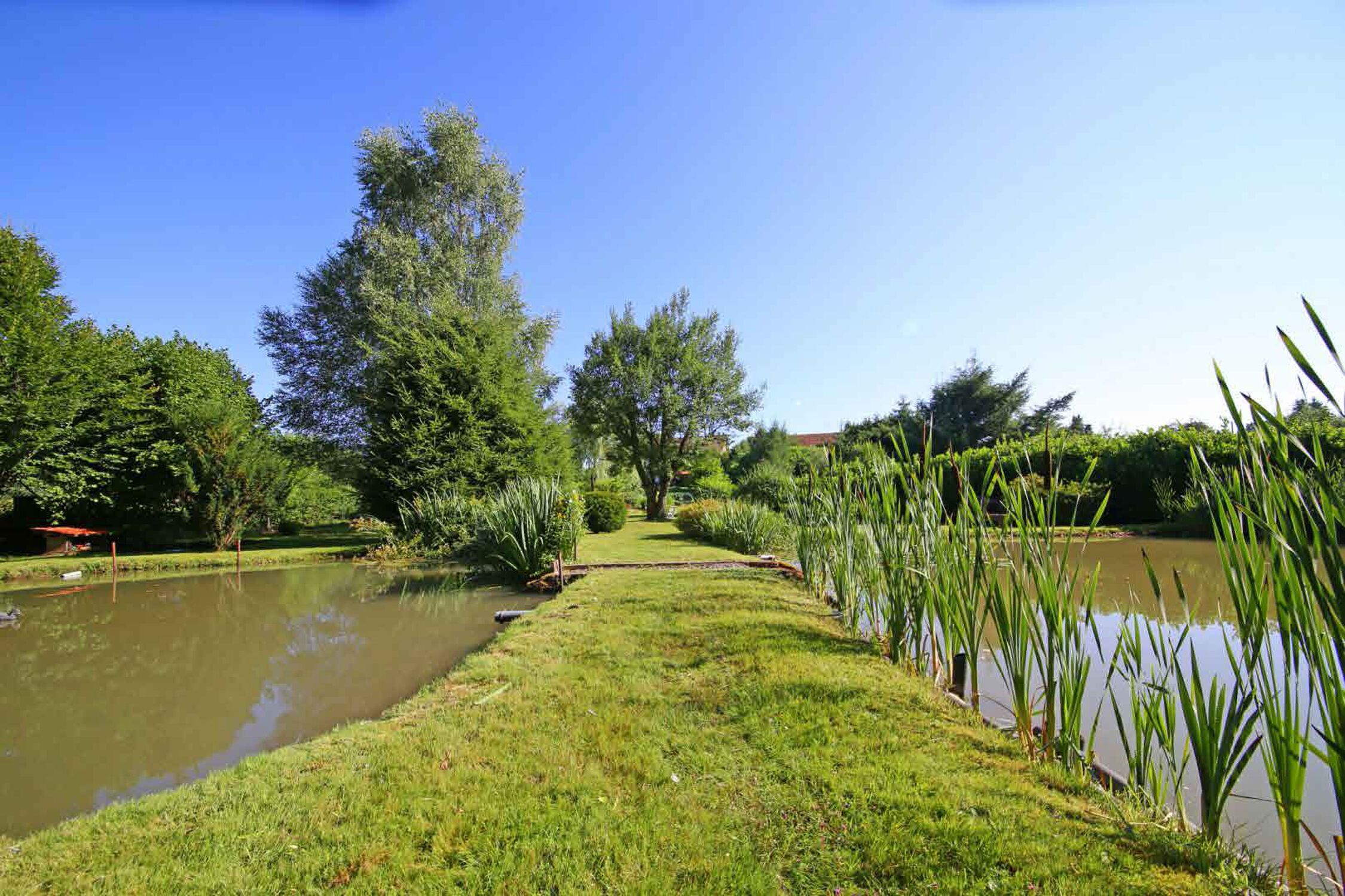 A serene park with a pond, lush greenery, and a clear sky.