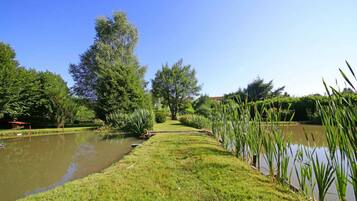 A serene park with a pond, lush greenery, and a clear sky.