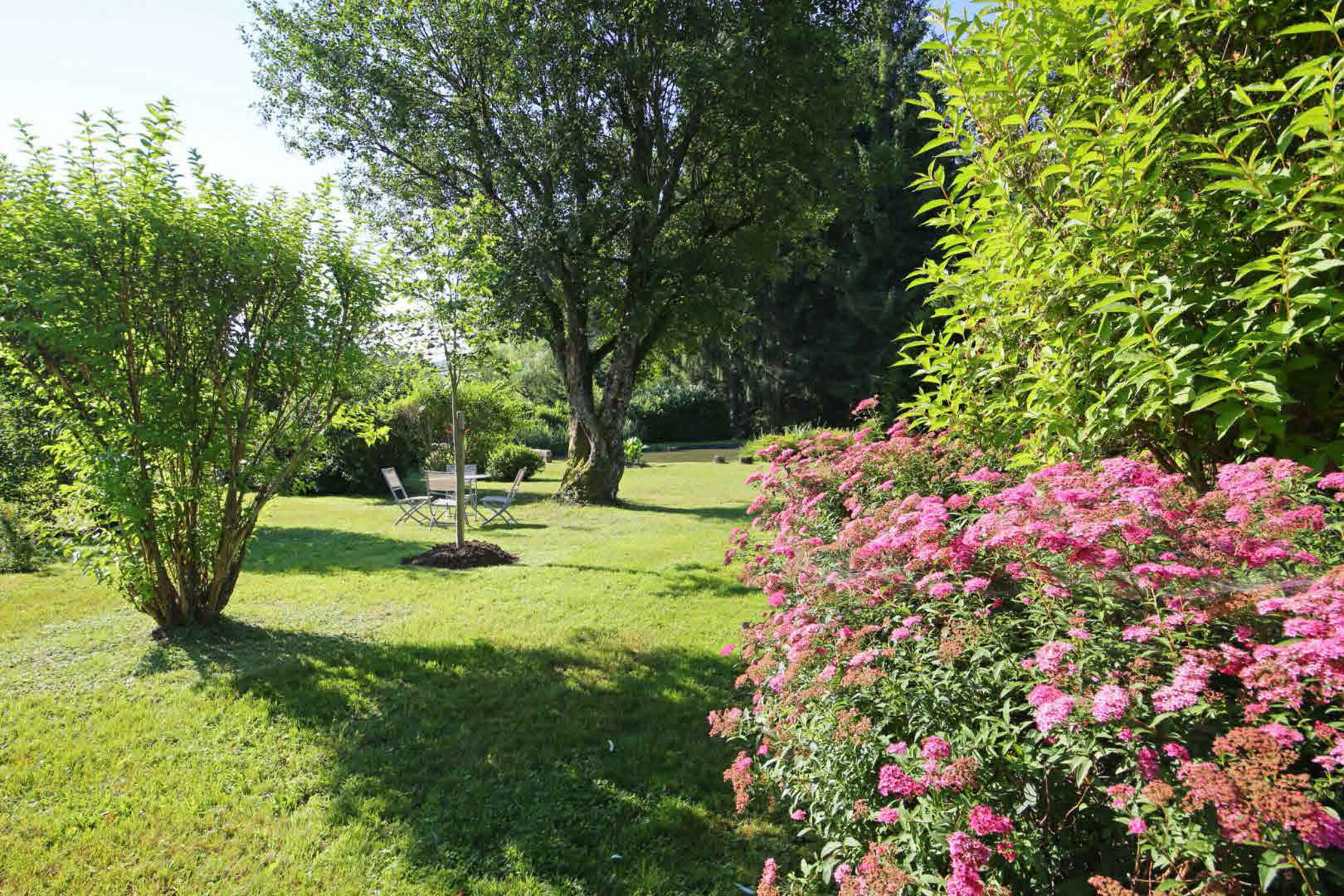 En velplejet have med forskellige træer og blomstrende buske.