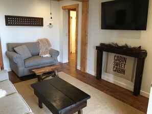 TV, fireplace, video games, DVD player